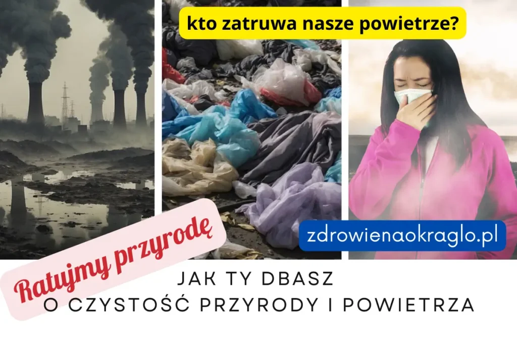 Powietrze, kto je zatruwa